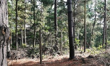 VENDE 2 HERMOSAS PARCELAS, LOTEO “ALTOS DE QUINTAY”, COMUNA CASABLANCA