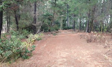 VENDE 2 HERMOSAS PARCELAS, LOTEO “ALTOS DE QUINTAY”, COMUNA CASABLANCA