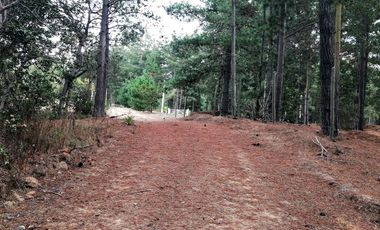 VENDE 2 HERMOSAS PARCELAS, LOTEO “ALTOS DE QUINTAY”, COMUNA CASABLANCA