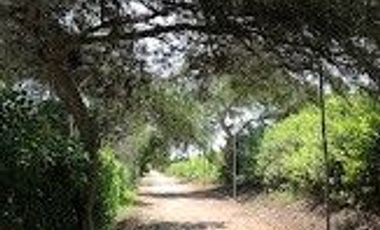 Terreno, 3,321 m2, Bujama Alta, Mala, Km 90 Panamericana Sur, Condominio Valle Escondido