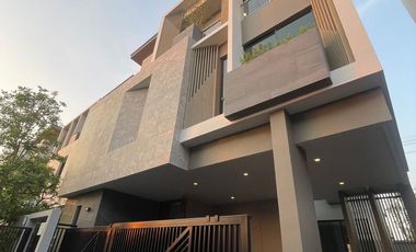 The Gentry Cultivar Rama 9 For Sell