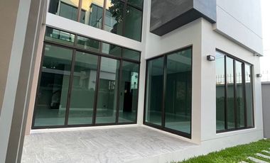 The Gentry Cultivar Rama 9 For Sell