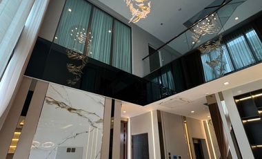 The Gentry Cultivar Rama 9 For Sell