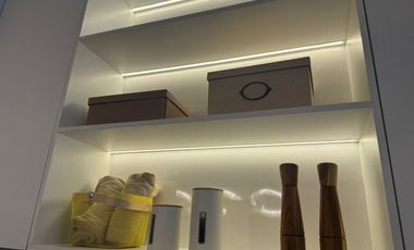 The Gentry Cultivar Rama 9 For Sell