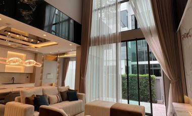 The Gentry Cultivar Rama 9 For Sell