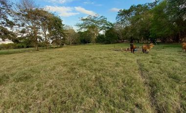 Se Vende Casa Finca  De 6 Hectareas Cerca Monteria Cordoba