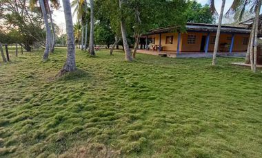 Se Vende Casa Finca  De 6 Hectareas Cerca Monteria Cordoba