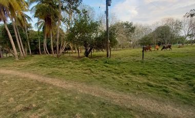 Se Vende Casa Finca  De 6 Hectareas Cerca Monteria Cordoba