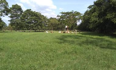 Se Vende Casa Finca  De 6 Hectareas Cerca Monteria Cordoba