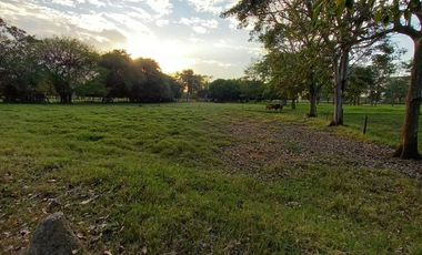 Se Vende Casa Finca  De 6 Hectareas Cerca Monteria Cordoba