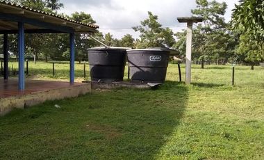 Se Vende Casa Finca  De 6 Hectareas Cerca Monteria Cordoba