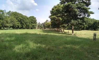 Se Vende Casa Finca  De 6 Hectareas Cerca Monteria Cordoba