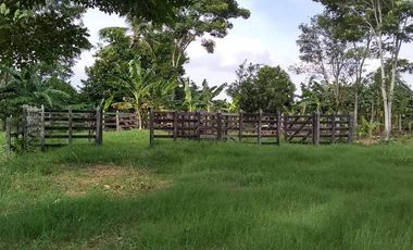 Se Vende Casa Finca  De 6 Hectareas Cerca Monteria Cordoba