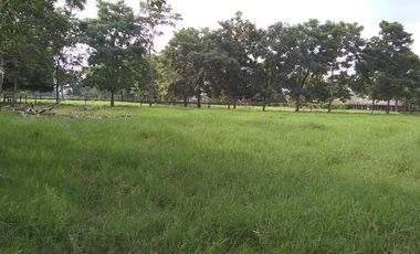 Se Vende Casa Finca  De 6 Hectareas Cerca Monteria Cordoba