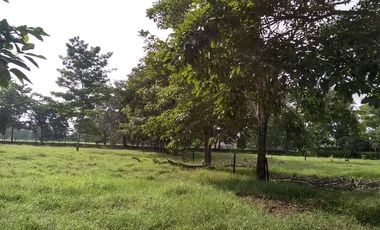 Se Vende Casa Finca  De 6 Hectareas Cerca Monteria Cordoba