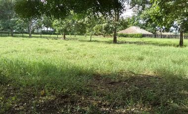 Se Vende Casa Finca  De 6 Hectareas Cerca Monteria Cordoba