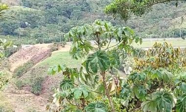 VENDO ESTA DIVINA FINCA, BIEN BARATA, EN BARBOSA ANTIOQUIA