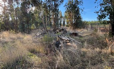 Vende Parcela terreno 5.500 m2 sector oro verde km 8 camino interior junta de vecino sol de chillan