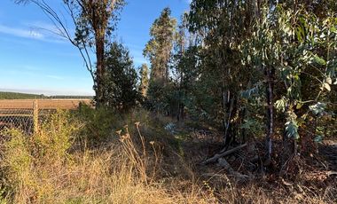Vende Parcela terreno 5.500 m2 sector oro verde km 8 camino interior junta de vecino sol de chillan