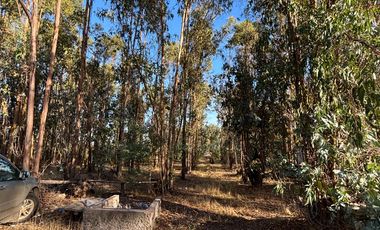 Vende Parcela terreno 5.500 m2 sector oro verde km 8 camino interior junta de vecino sol de chillan