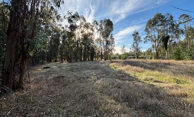 Vende Parcela terreno 5.500 m2 sector oro verde km 8 camino interior junta de vecino sol de chillan