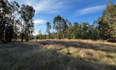 Vende Parcela terreno 5.500 m2 sector oro verde km 8 camino interior junta de vecino sol de chillan