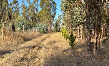 Vende Parcela terreno 5.500 m2 sector oro verde km 8 camino interior junta de vecino sol de chillan