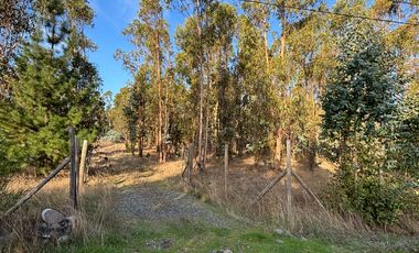 Vende Parcela terreno 5.500 m2 sector oro verde km 8 camino interior junta de vecino sol de chillan
