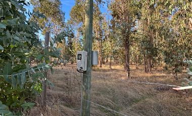 Vende Parcela terreno 5.500 m2 sector oro verde km 8 camino interior junta de vecino sol de chillan