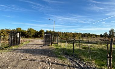 Vende Parcela terreno 5.500 m2 sector oro verde km 8 camino interior junta de vecino sol de chillan