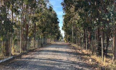 Vende Parcela terreno 5.500 m2 sector oro verde km 8 camino interior junta de vecino sol de chillan