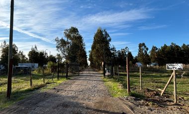 Vende Parcela terreno 5.500 m2 sector oro verde km 8 camino interior junta de vecino sol de chillan