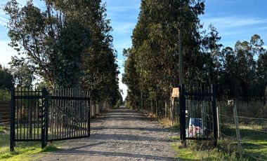 Vende Parcela terreno 5.500 m2 sector oro verde km 8 camino interior junta de vecino sol de chillan