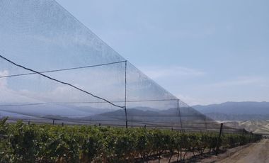 TERRENO AGRICOLA DE ALTA RENTABILIDAD CON RIEGO TECNIFICADO Y SUBESTACION PROPIA
