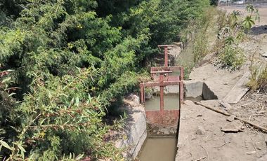 TERRENO AGRICOLA DE ALTA RENTABILIDAD CON RIEGO TECNIFICADO Y SUBESTACION PROPIA