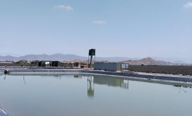 TERRENO AGRICOLA DE ALTA RENTABILIDAD CON RIEGO TECNIFICADO Y SUBESTACION PROPIA