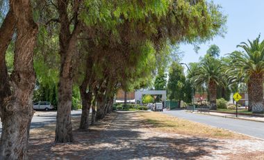 Cond. El Algarrobal Sur, Chicureo