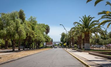 Cond. El Algarrobal Sur, Chicureo