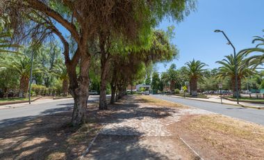 Cond. El Algarrobal Sur, Chicureo