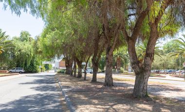 Cond. El Algarrobal Sur, Chicureo