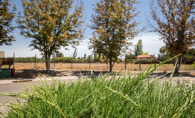 Cond. El Algarrobal Sur, Chicureo