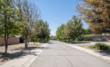 Cond. El Algarrobal Sur, Chicureo