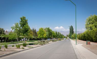 Cond. El Algarrobal Sur, Chicureo