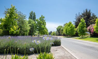 Cond. El Algarrobal Sur, Chicureo