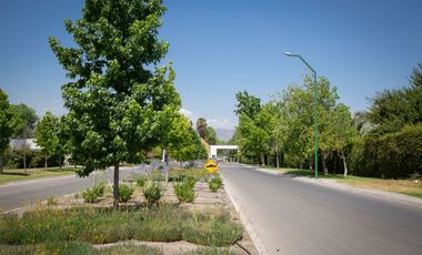Cond. El Algarrobal Sur, Chicureo