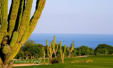 casa en venta en palmilla en San José del cabo campo de golf
