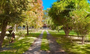 SAN ESTEBAN - VENDE PROPIEDAD CON SALÓN DE EVENTOS Y CASA DE HUESPEDES