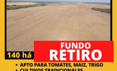 Terreno en arriendo en Linares, Retiro