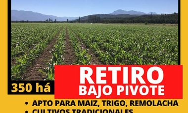 Terreno en arriendo en Linares, Retiro
