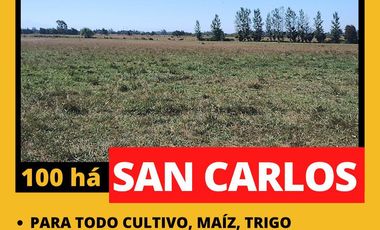 Terreno en arriendo en Punilla, San Carlos
